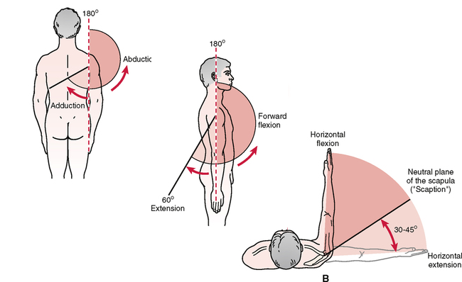 5 Reasons Why Some People Are More Flexible than Others