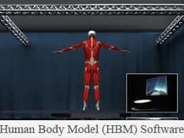 A patient and C.A.R.E.N's gravitational push; human body model