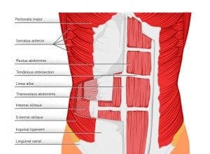 Core Stability Exercises