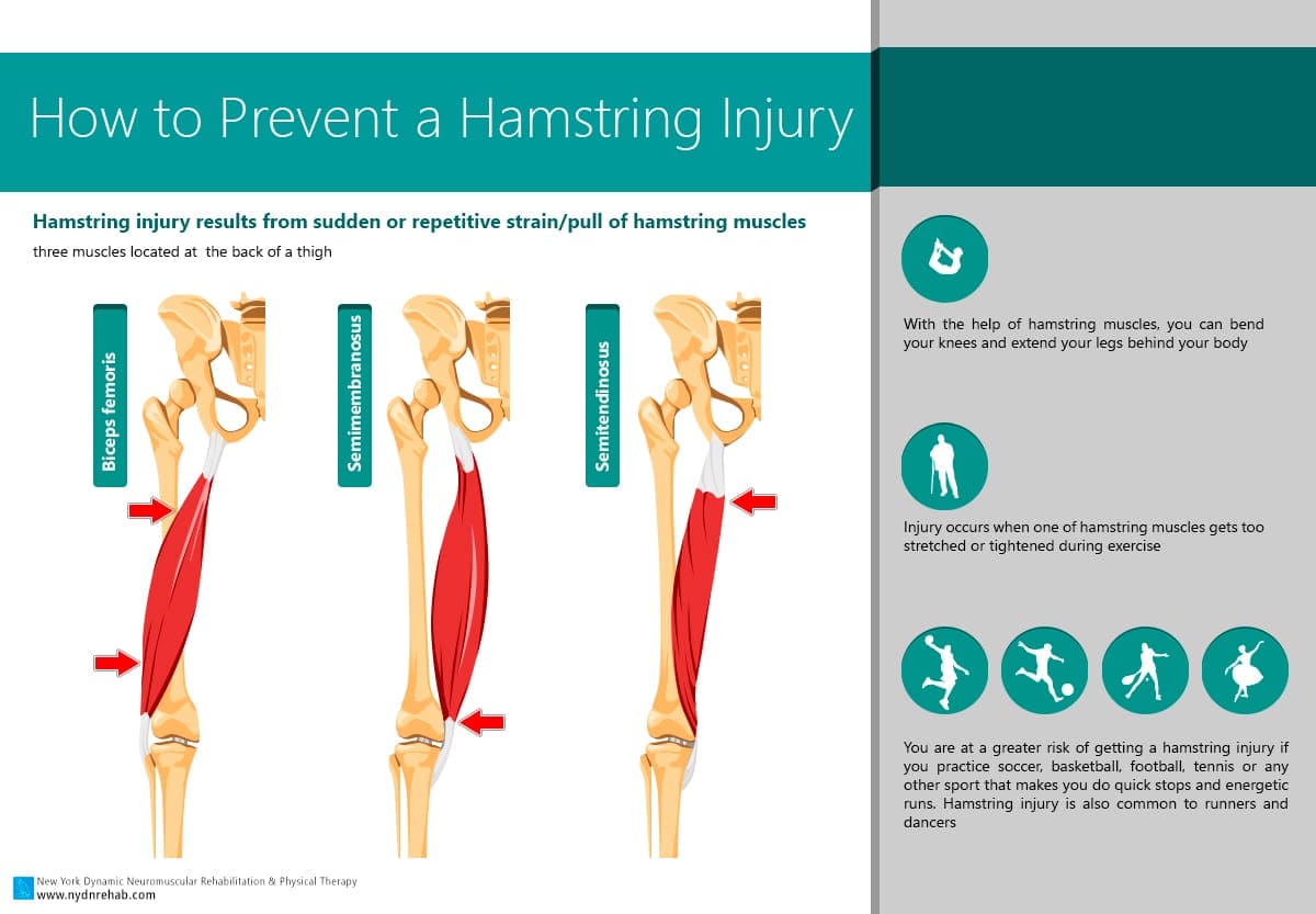 Hamstring Injury Recovery - Anatomy and Runners Risks — Revive Sport & Spine