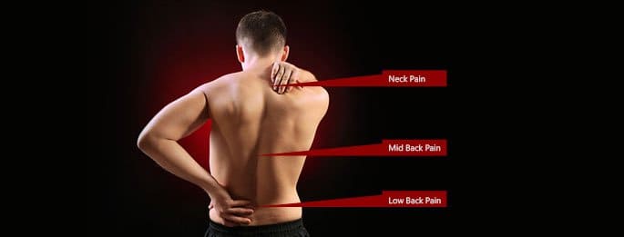 The-Language-of-Back-Pain