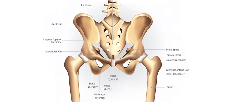 What the Research Says About Lateral Hip Pain