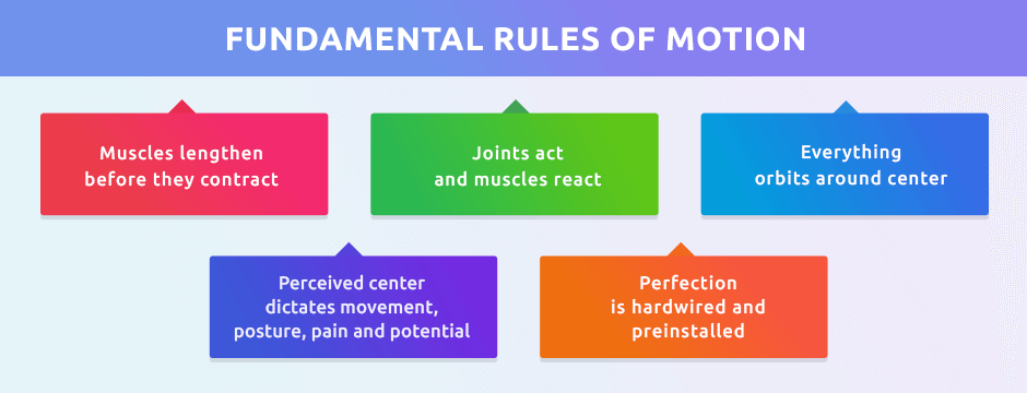 What is Anatomy in Motion?