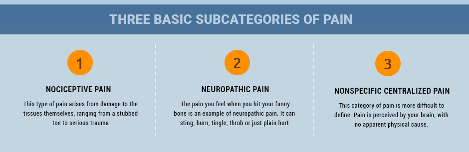 Pain Science Basics