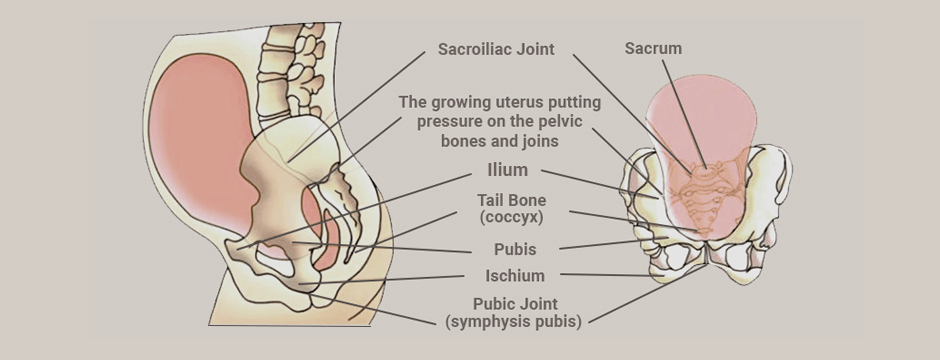 5 Remedies for Pelvic Discomfort During Pregnancy – 8 Sheep Organics