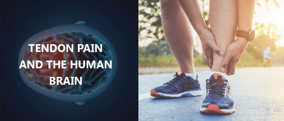 Tendon Pain and the Human Brain 