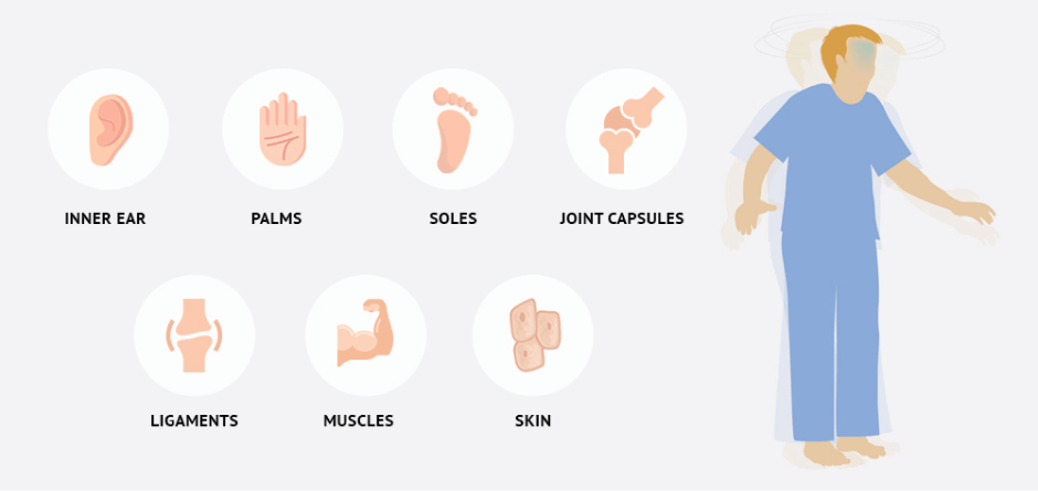 Proprioception and Posture