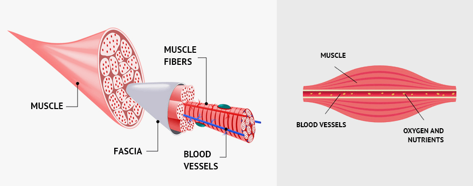 The Science Behind BFRT