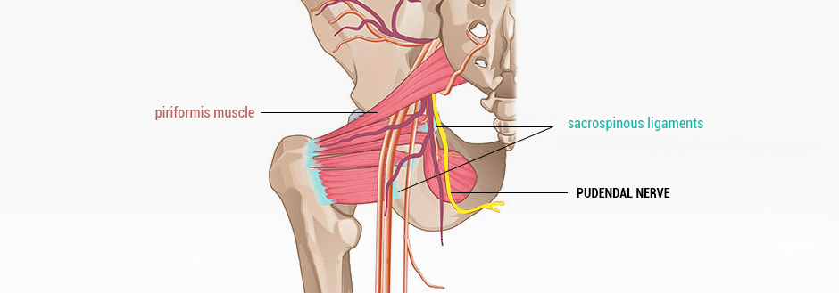 Pudendal nerve home remedies