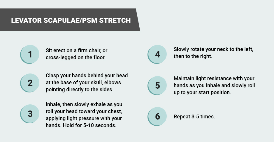 Levator Scapulae/PSM Stretch