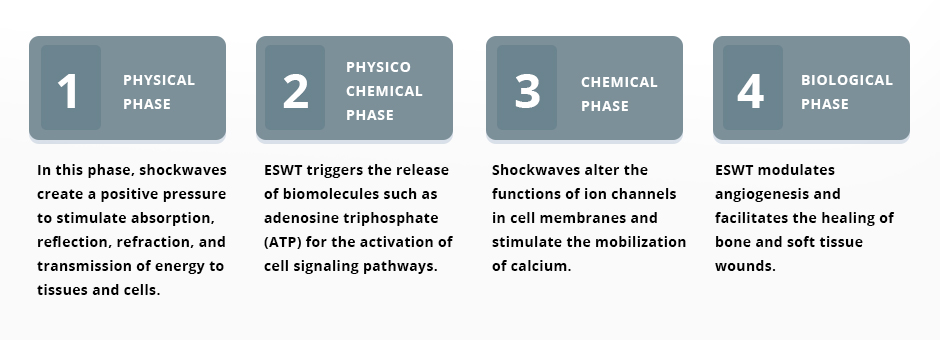 Mechanisms of Shockwave Therapy