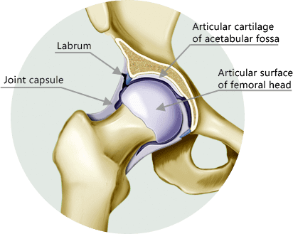 Symptoms and Causes of Hip Labrum Pain