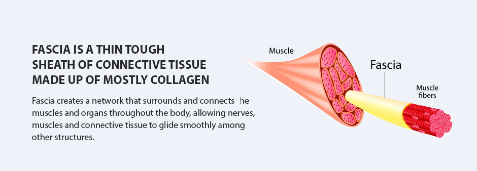 What causes fascia restrictions in hEDS patients?