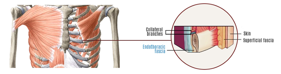 Right upper quadrant pain under the ribs: 9 causes