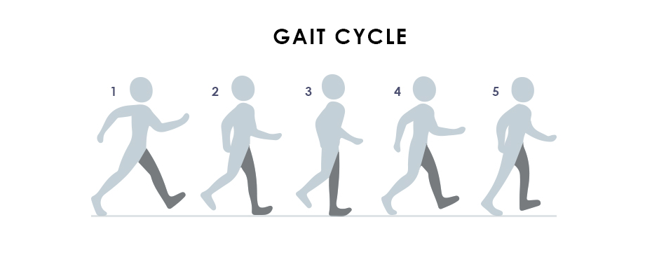 Posture 101 - The Correct Posture - Mariska Odendaal Physiotherapy