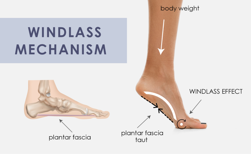 The Pilates Foot Corrector And Toe Corrector: Exercises for healthy feet –  and Toe Corrector innovations for stability and symmetry through the upper