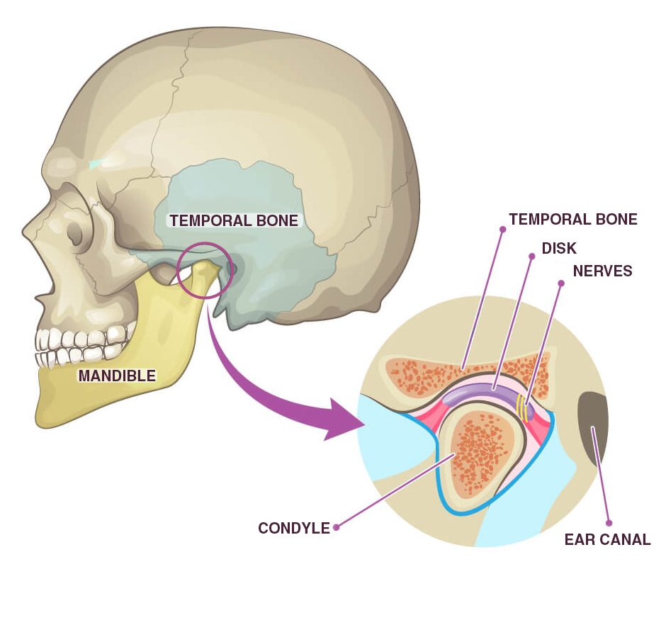 retraction of mandible